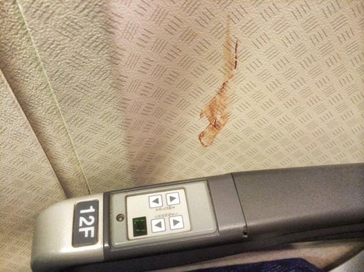 American Airlines, blood on my seat