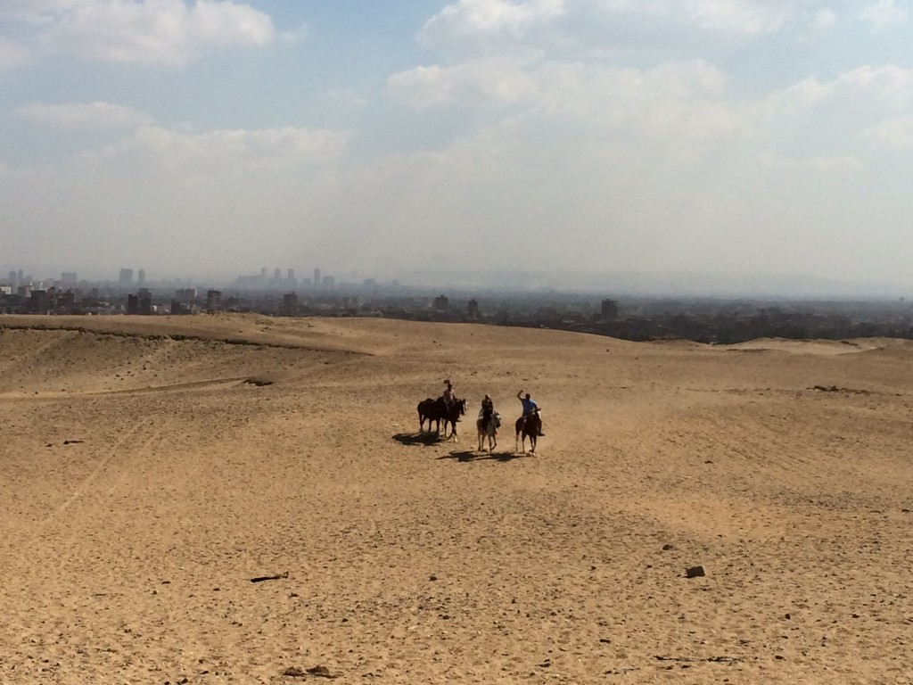 Horseback at pyramids, Pyramids, Cairo, Egypt, Africa