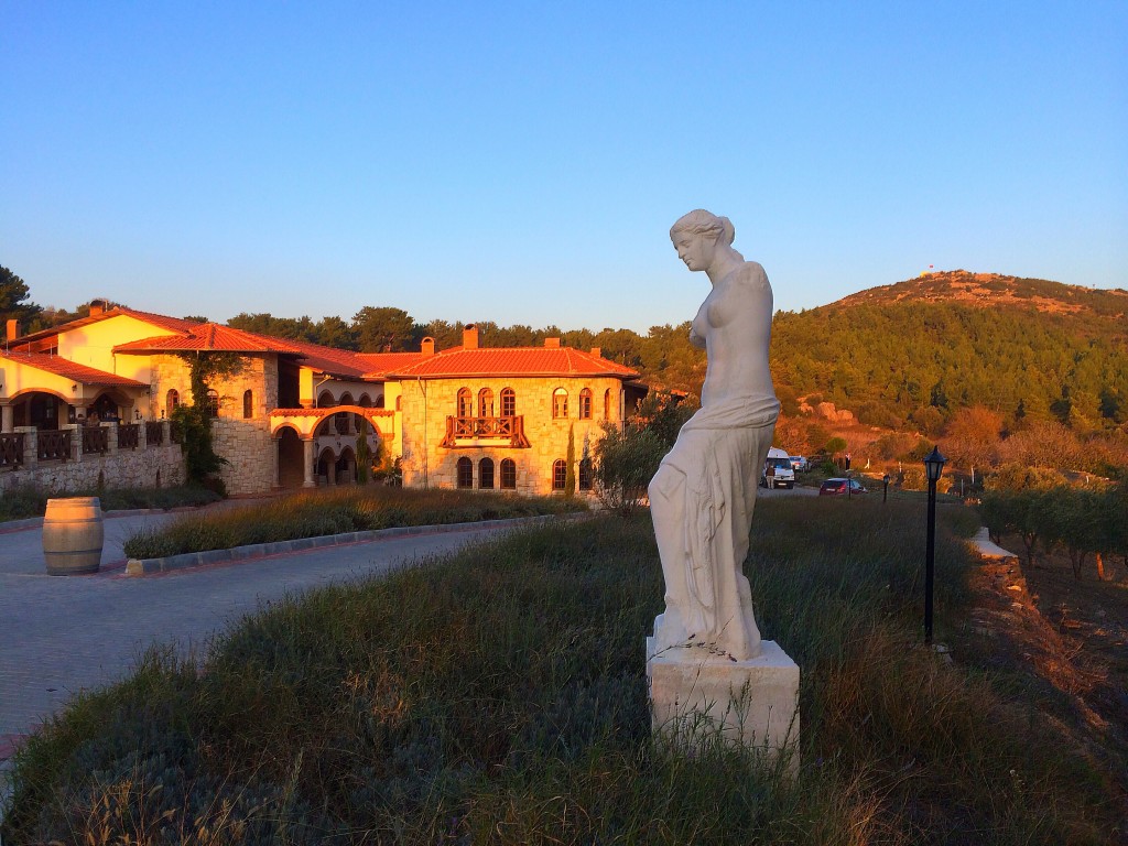 Yedi Bilgeler Winery, Selcuk, Turkey