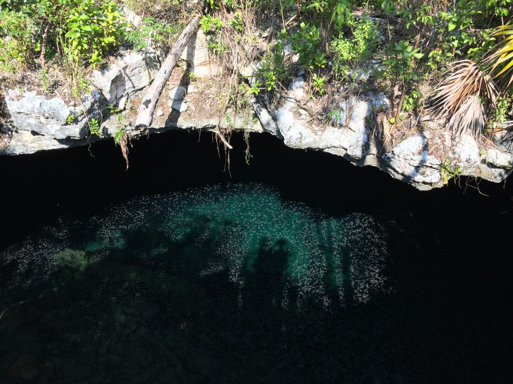 Cave, Lucayan National Park, Grand Bahama Island, Bahamas
