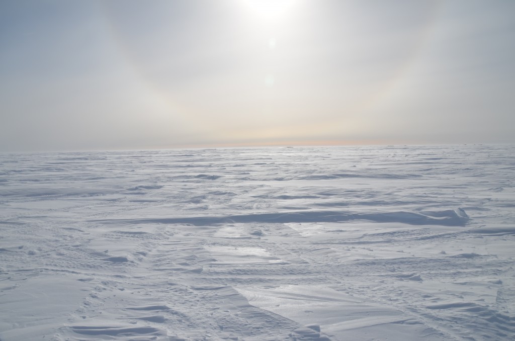 Antarctica, 83 degrees, White Desert, Antarctica