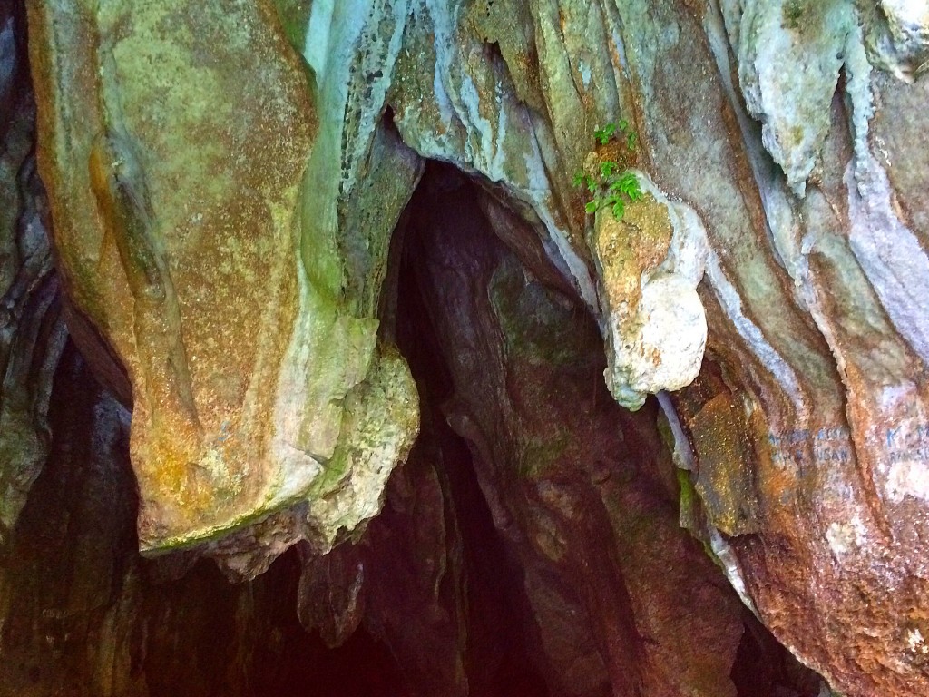 Puerto Princesa Subterranean River, Philippines, Sabang, ceiling