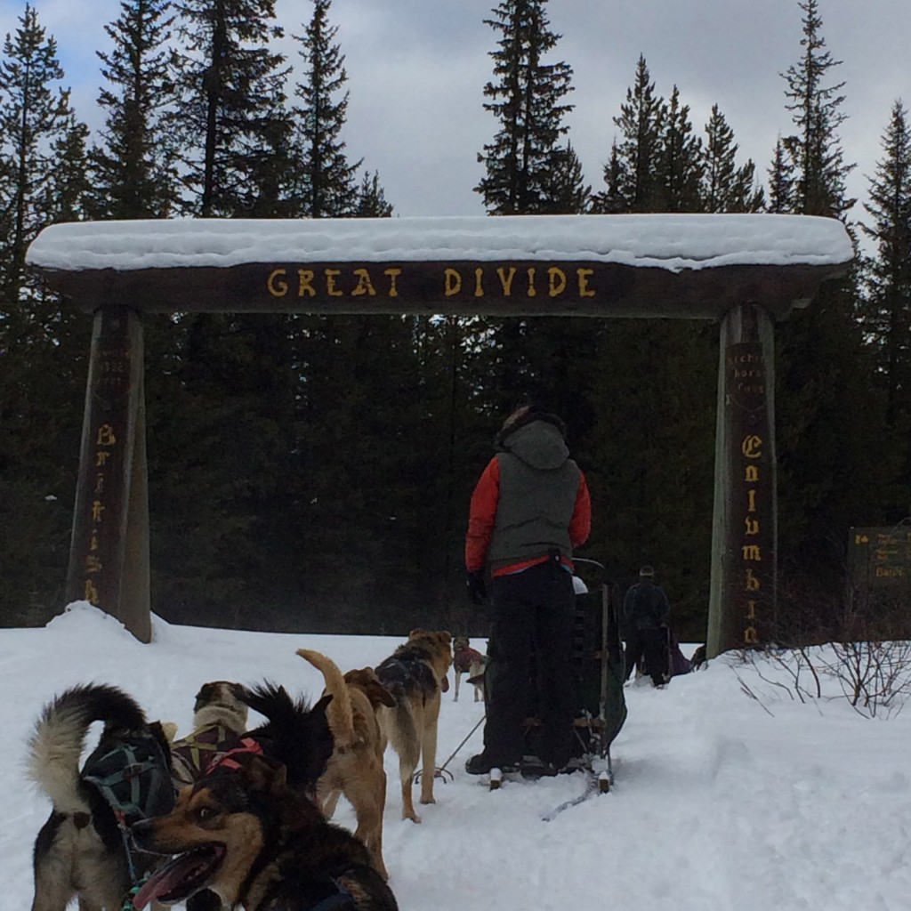 Dogsledding in Alberta, Great Divide Tour, Alberta, Canada