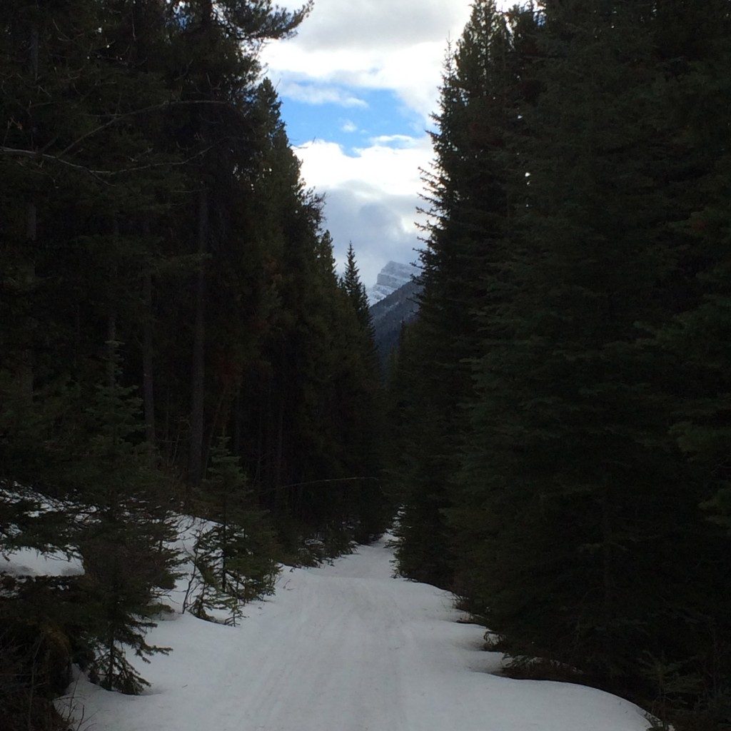Hike to Sundance Lodge, Banff, ALberta, Canada