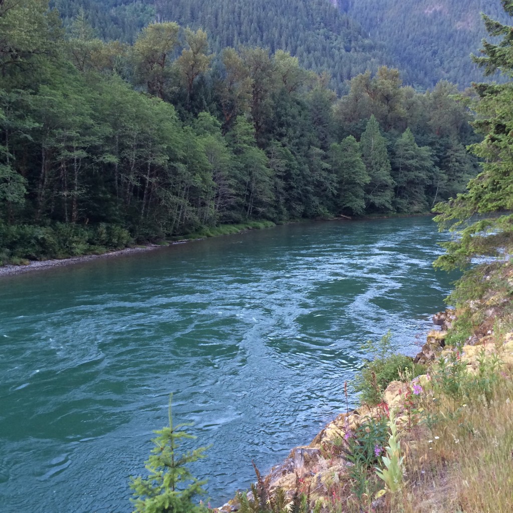 North Cascades National Park, Washington State, river