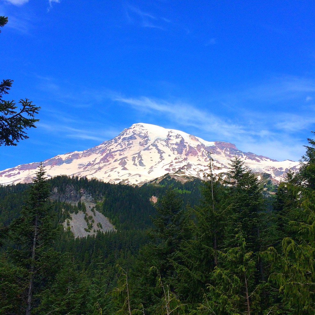 Mount Rainier, Washington State, National Park