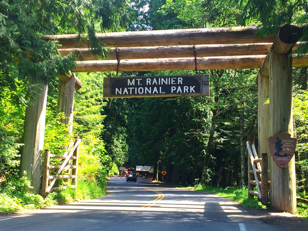 Welcome to Mount Rainier National Park