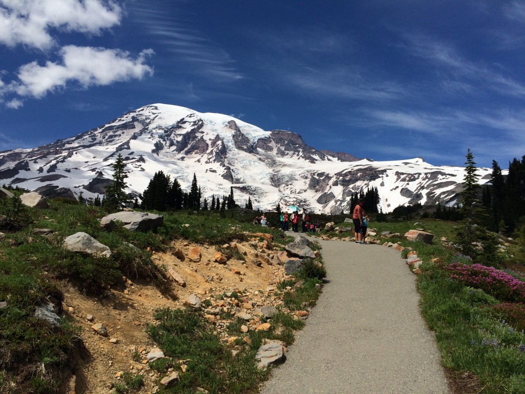 Mount Rainier, Washington State, National Park