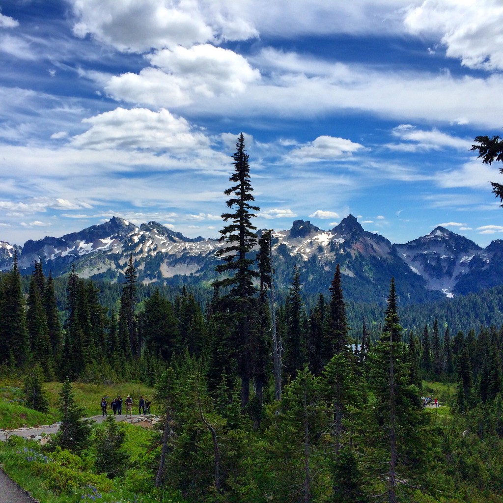 Mount Rainier, Washington State, National Park, Moutains