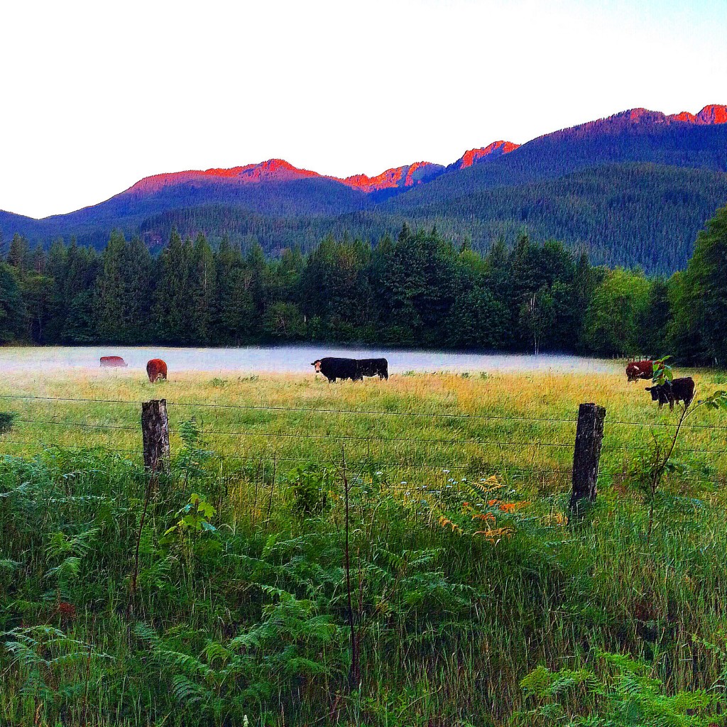 Sunrise, North Cascades National Park, Washington State