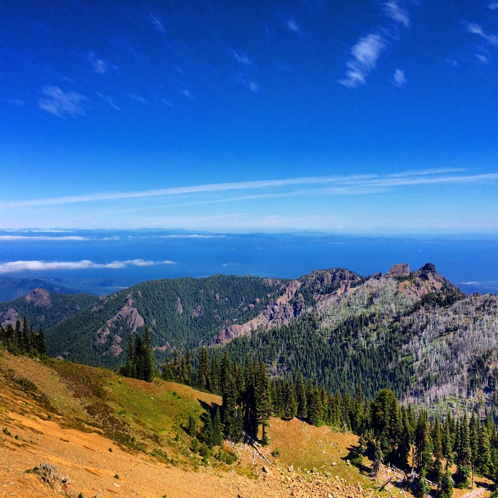 Olympic National Park, Hurricane Hill