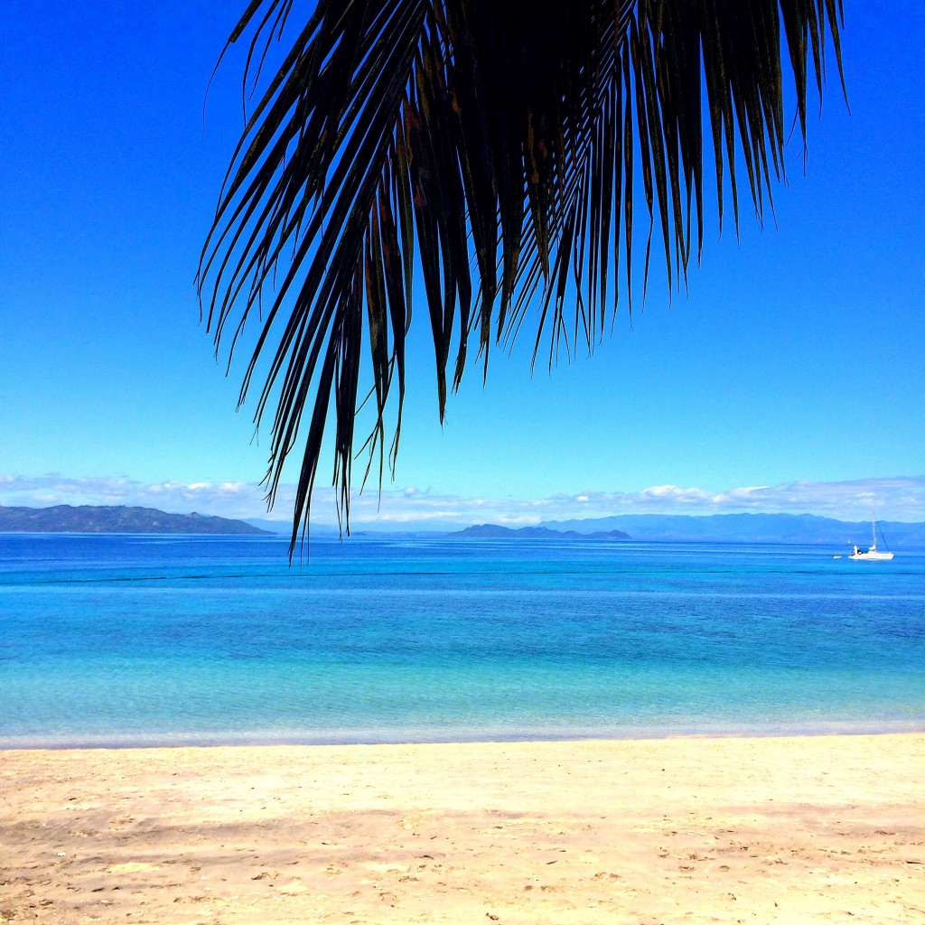 Nosy Tanikely, Tanikely, beach, Madagascar, Nosy Be, palm tree