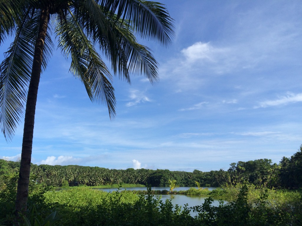 Nauru, lagoon, palm tree