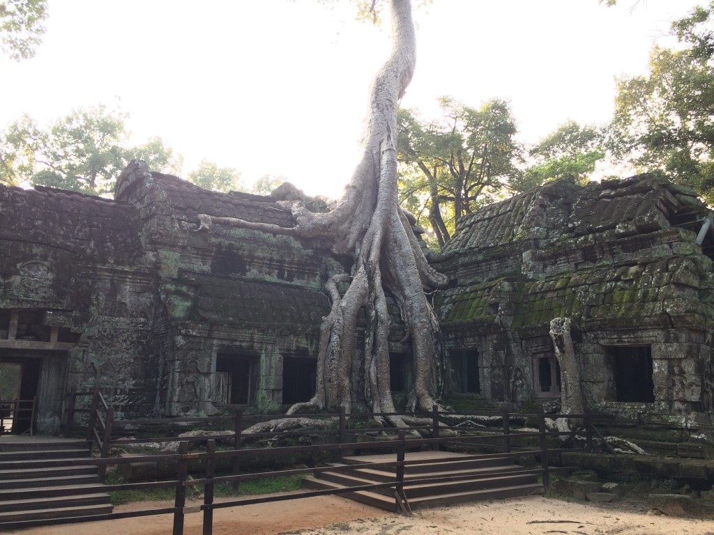 Ta Phrom, Siem Reap, Cambodia, view