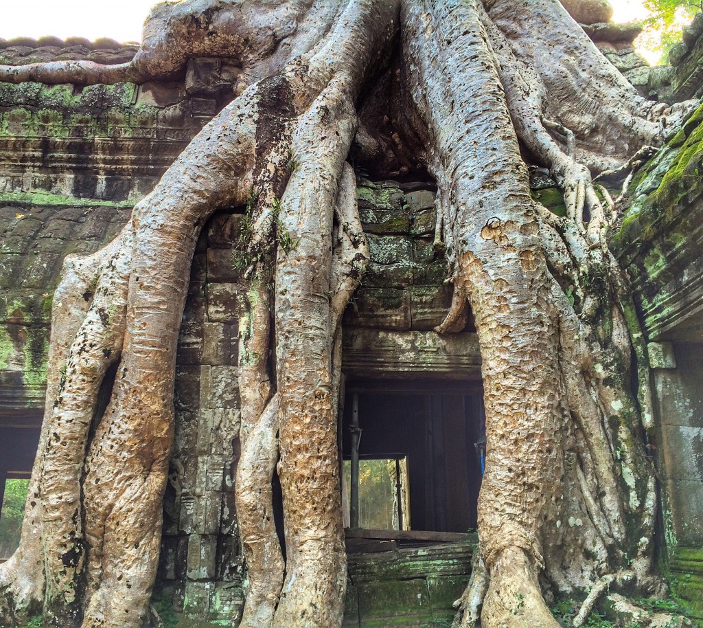 Ta Phrom, Siem Reap, Cambodia