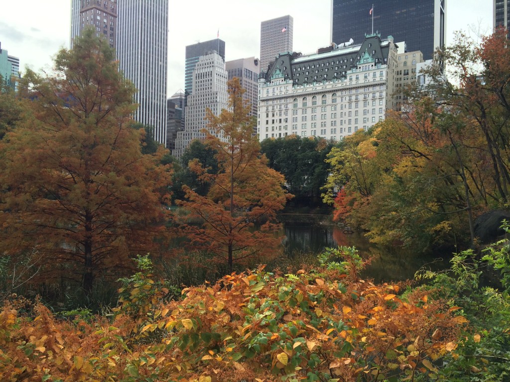 The Plaza Hotel, NYC, Central Park