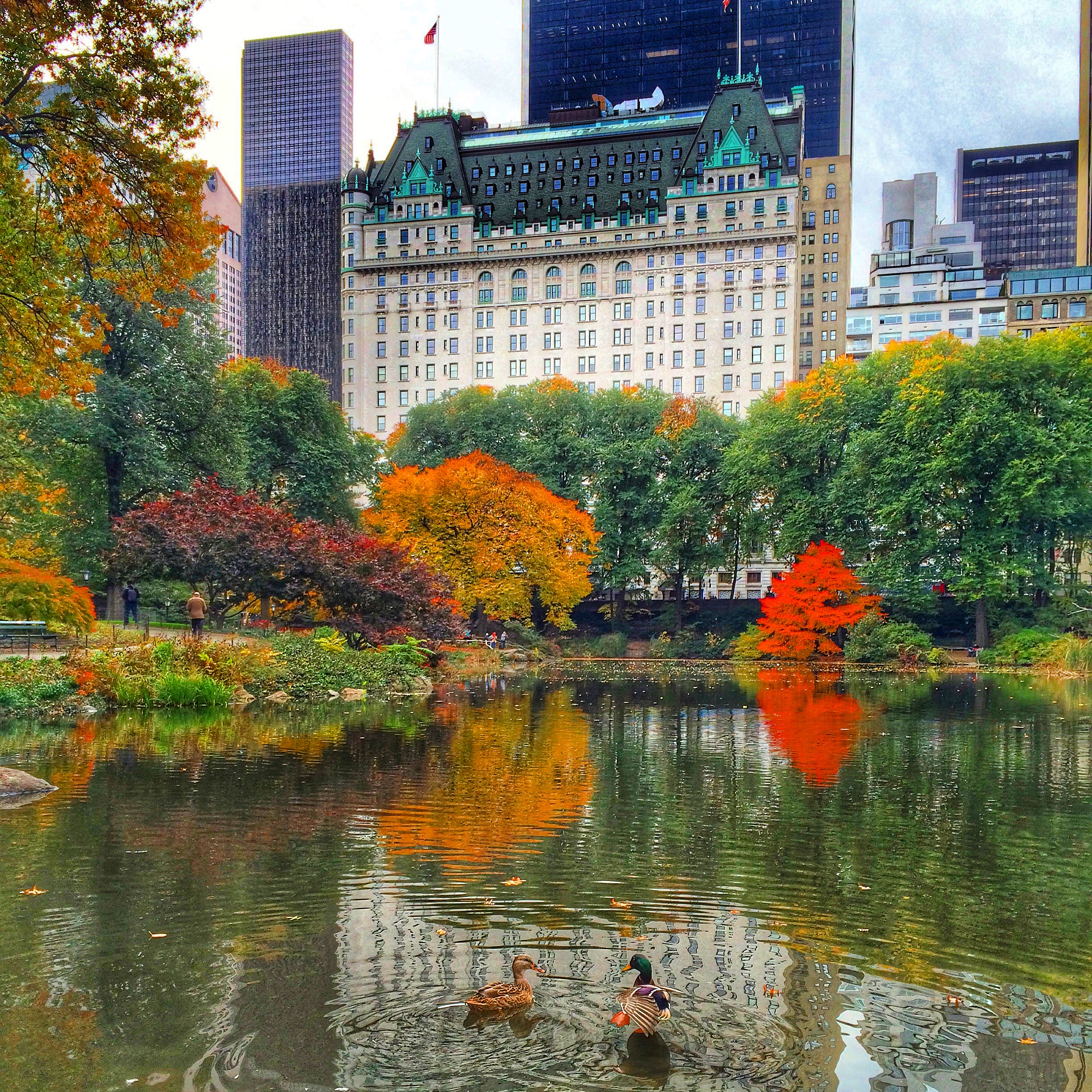 Staycation At The Plaza Hotel