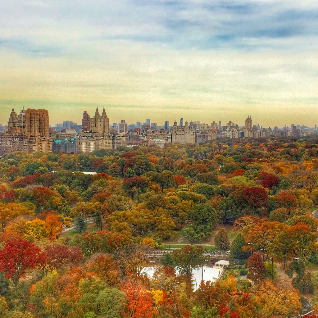 Central Park, The Plaza Hotel, NYC