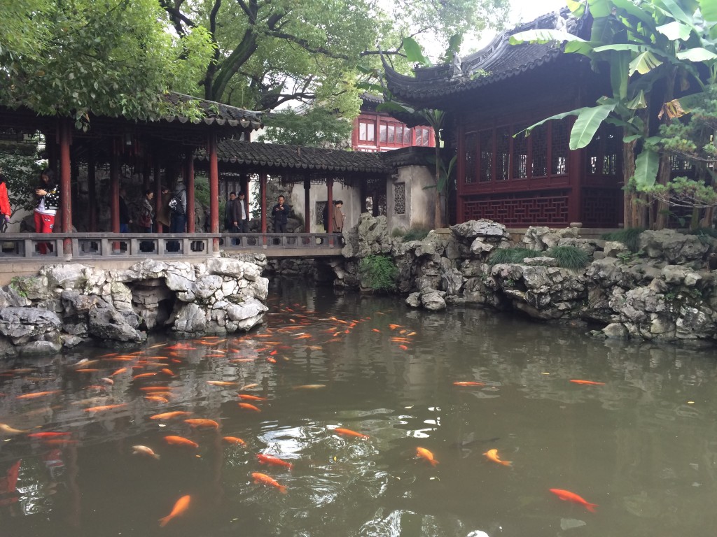 Yu Garden, koi pond, Shanghai, China