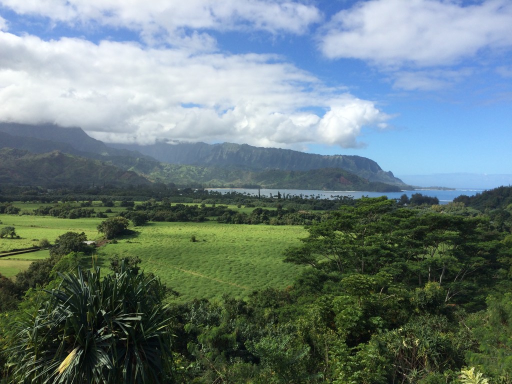 Kauai, Hawaii, nature, view