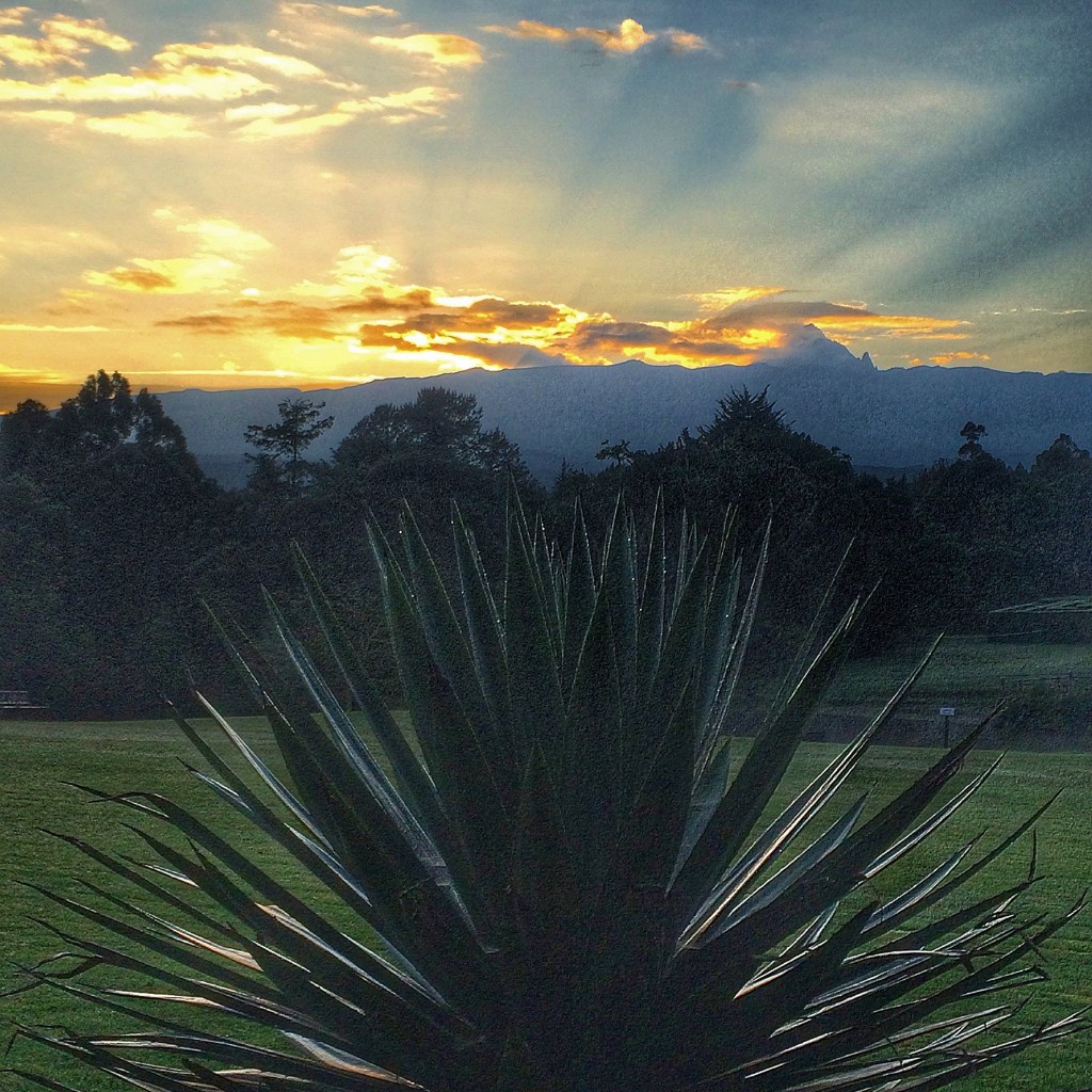 Fairmont Mount Kenya Safari Club, Kenya, sunrise