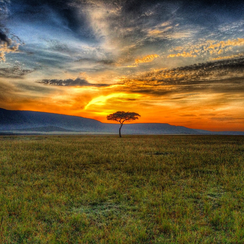 Fairmont Mara Safari Club, Fairmont, Kenya, Masai Mara, sunrise