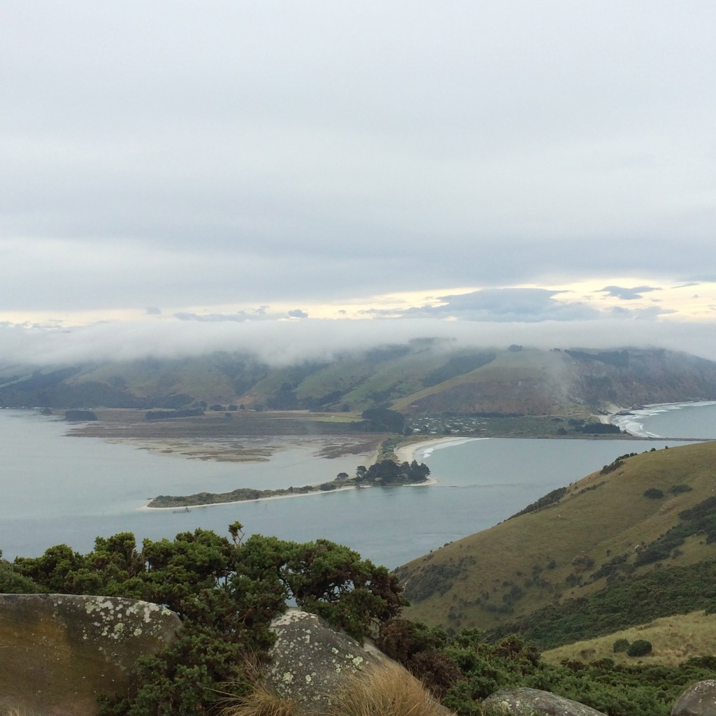 Dunedin, New Zealand, Otago Peninsula, Otago