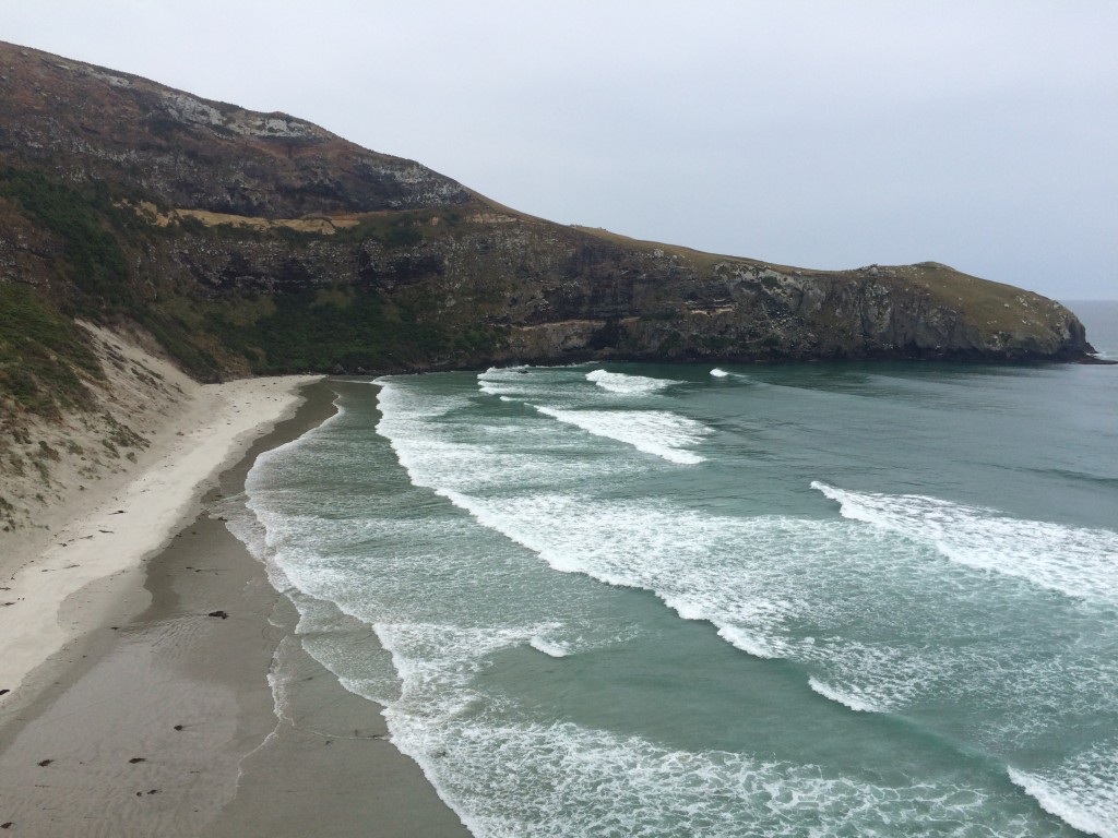 Dunedin, New Zealand, Otago Peninsula, Otago, beach