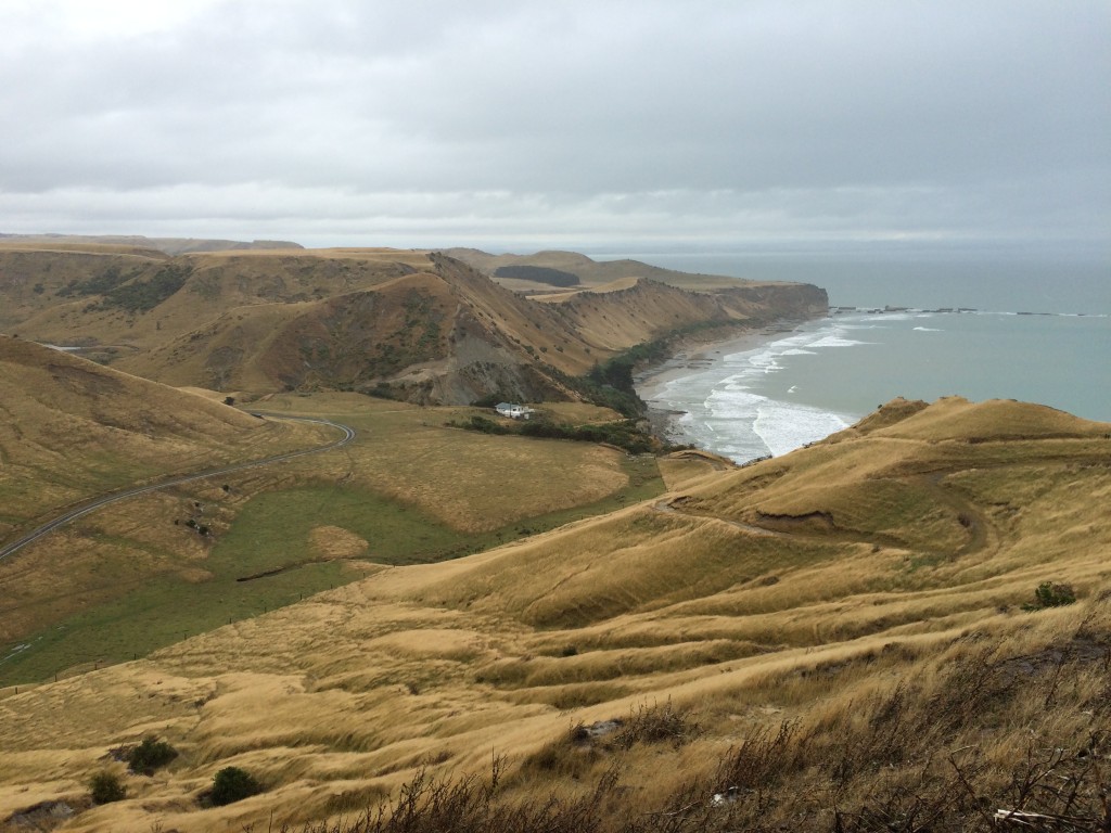 Daytrip to Cape Kidnappers, Napier, Cape Kidnappers, New Zealand, Azamara Quest, Azamara