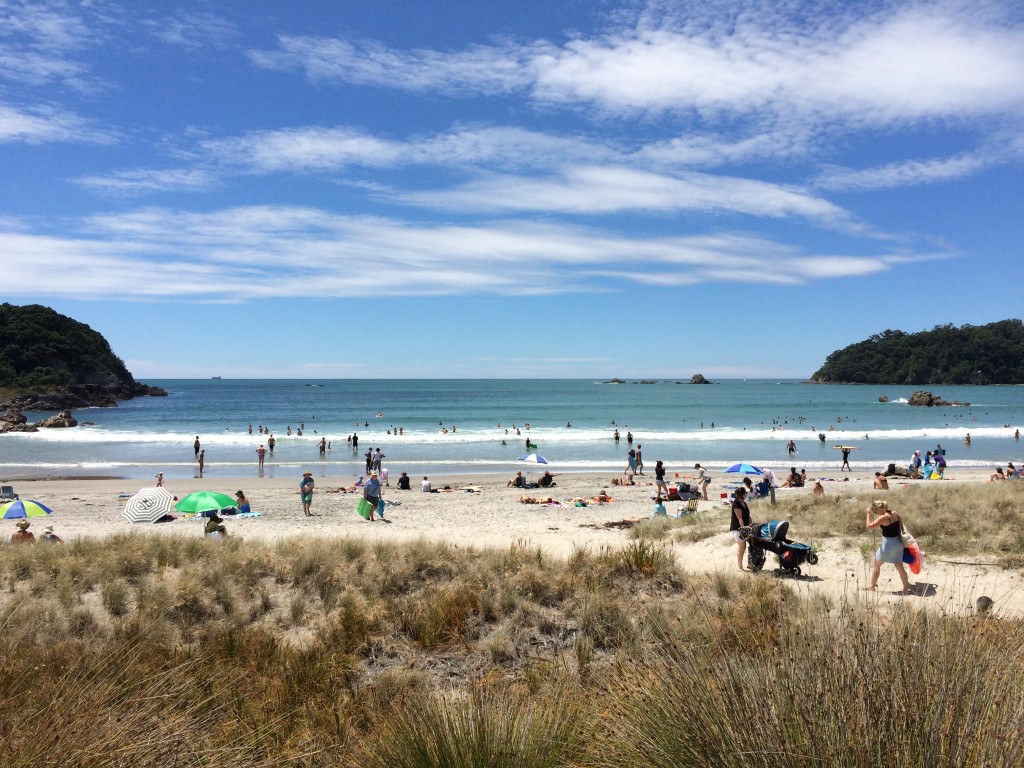 Tauranga, New Zealand, beach, North Island, Why You Should Visit Tauranga
