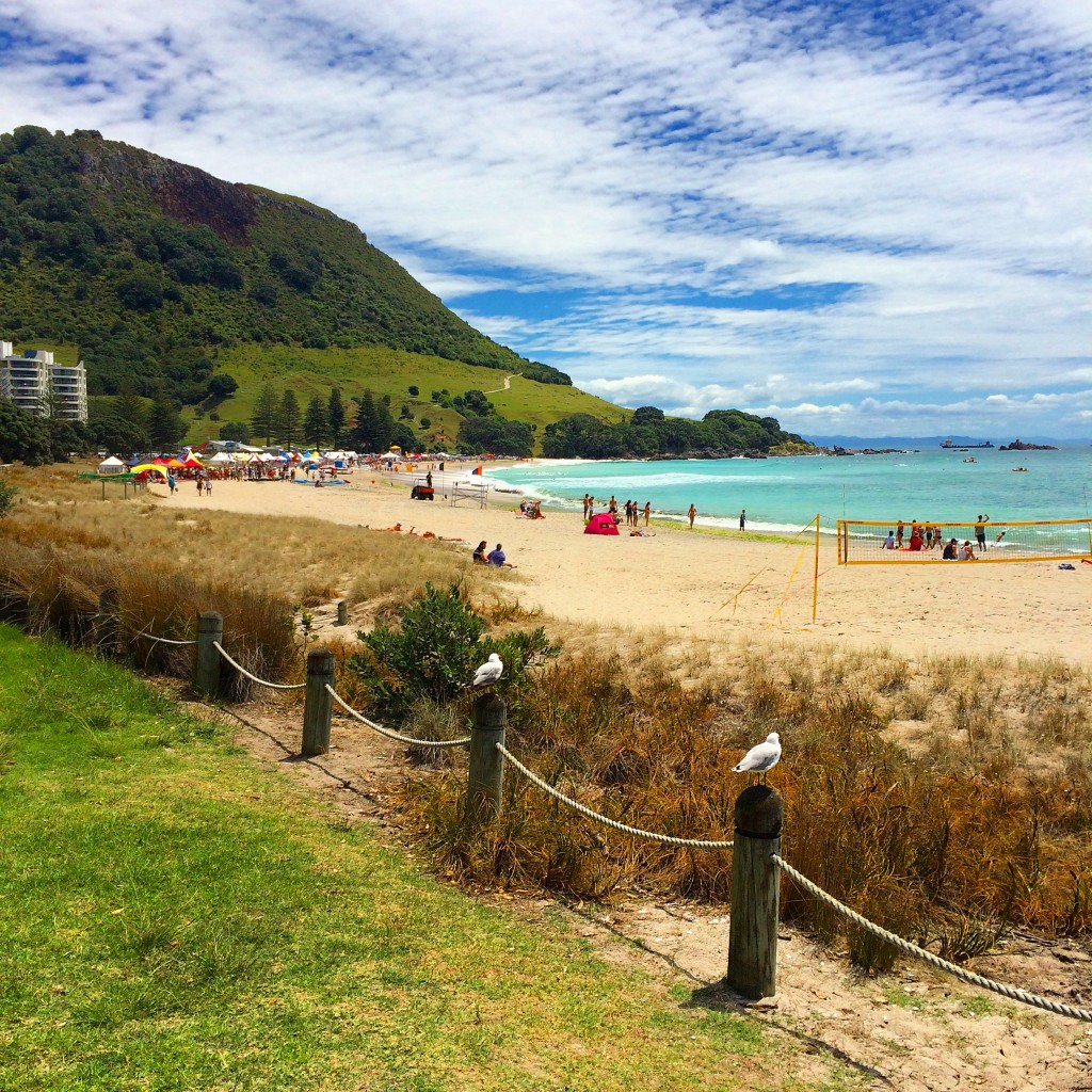 Tauranga, New Zealand, beach, North Island, Why You Should Visit Tauranga