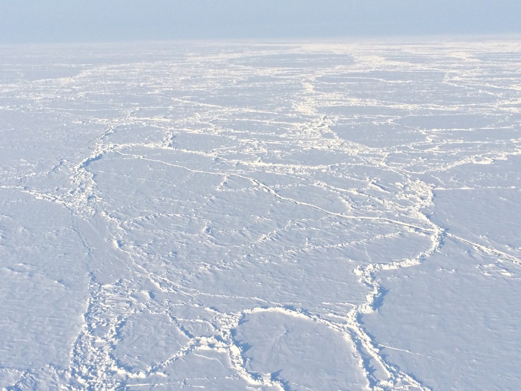 North Pole, The North Pole, How I made it to the North Pole, sea ice