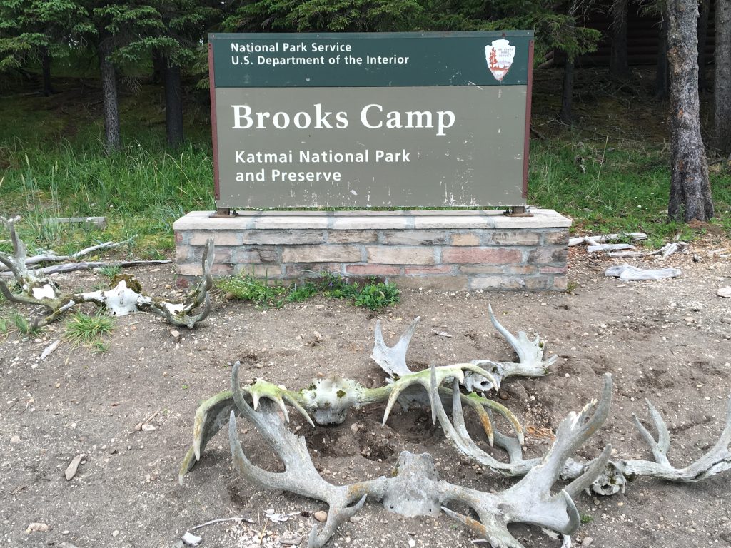 2.5 days in Katmai National Park, Katmai Naional Park, Alaska, National Park, Brooks Camp