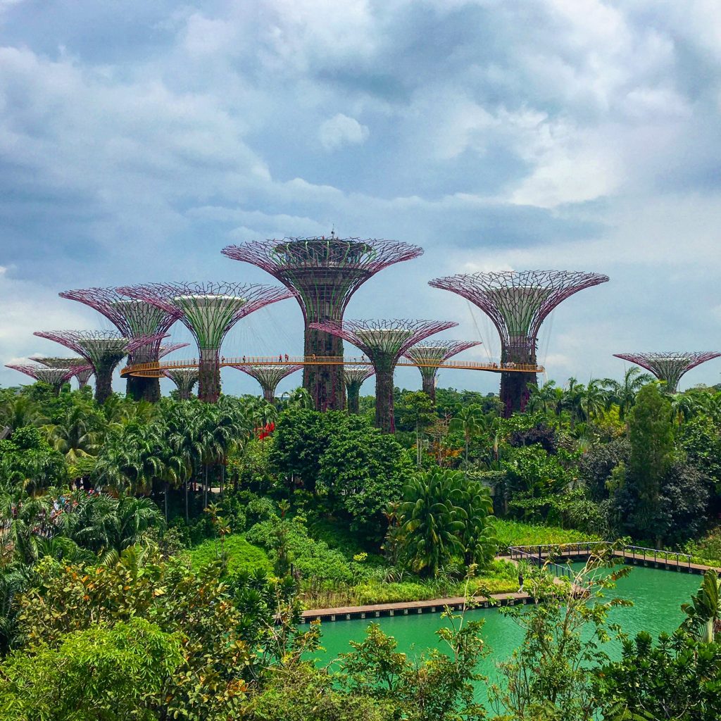 Singapore Has It All, Singapore, Gardens By The Bay