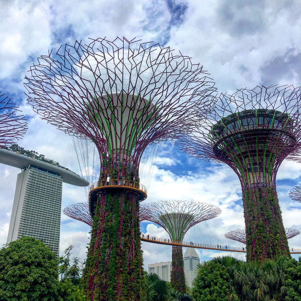 Singapore Has It All, Singapore, Gardens By The Bay