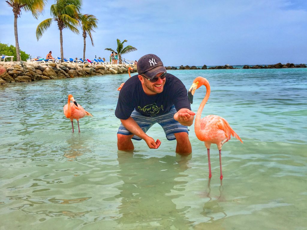 My Fourth Trip to Aruba, Aruba, Renaissance Aruba, flamingo beach, flamingo, Lee Abbamonte