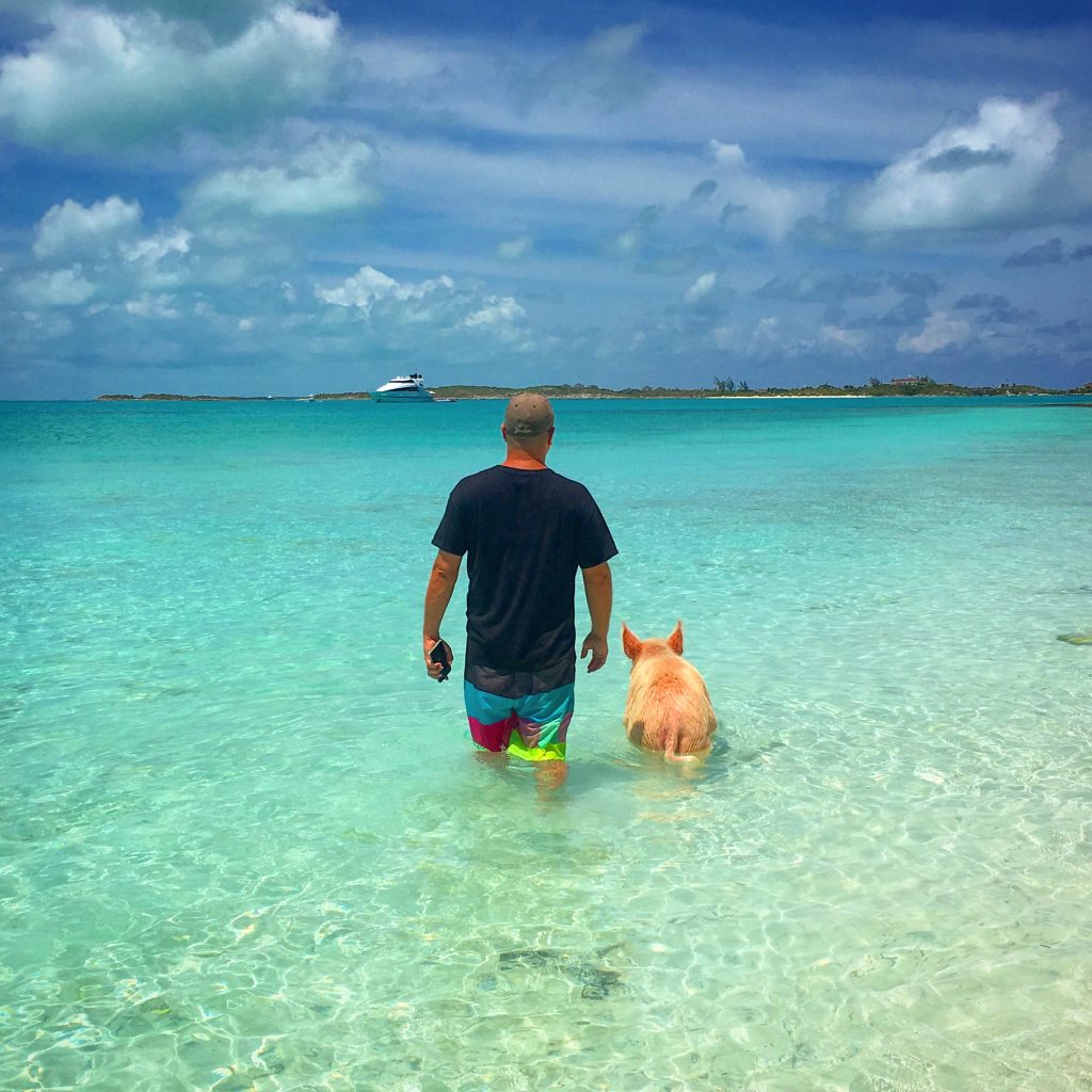 5 Awesome Things to do in the Exumas, Bahamas, swimming pigs, Exuma, Exumas, pigs