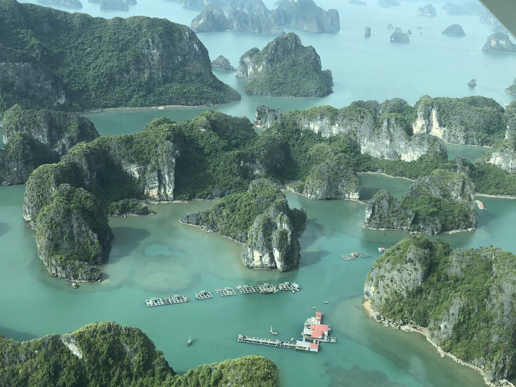 Stunning limestone islands and the life among them