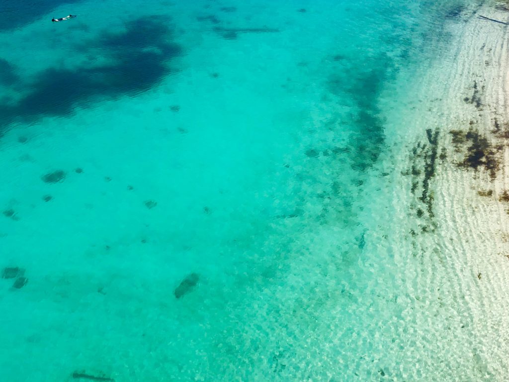 Some of the water at North Beach in Dry Tortugas National Park