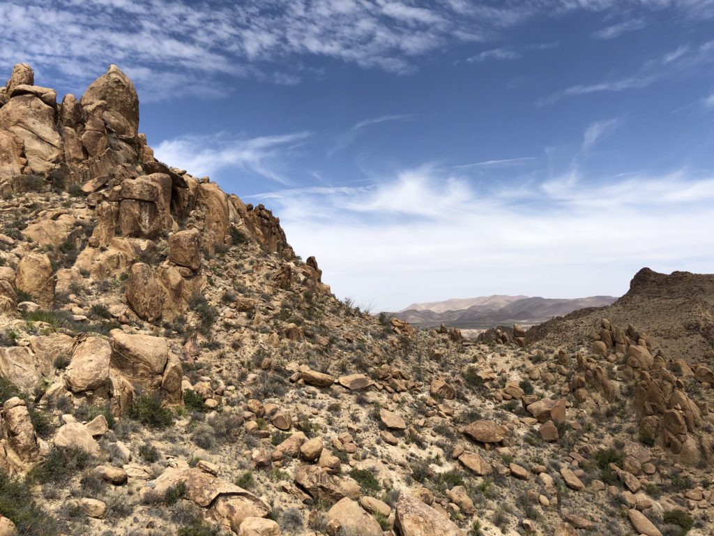 Natural desert beauty is everywhere in Big Bend National Park