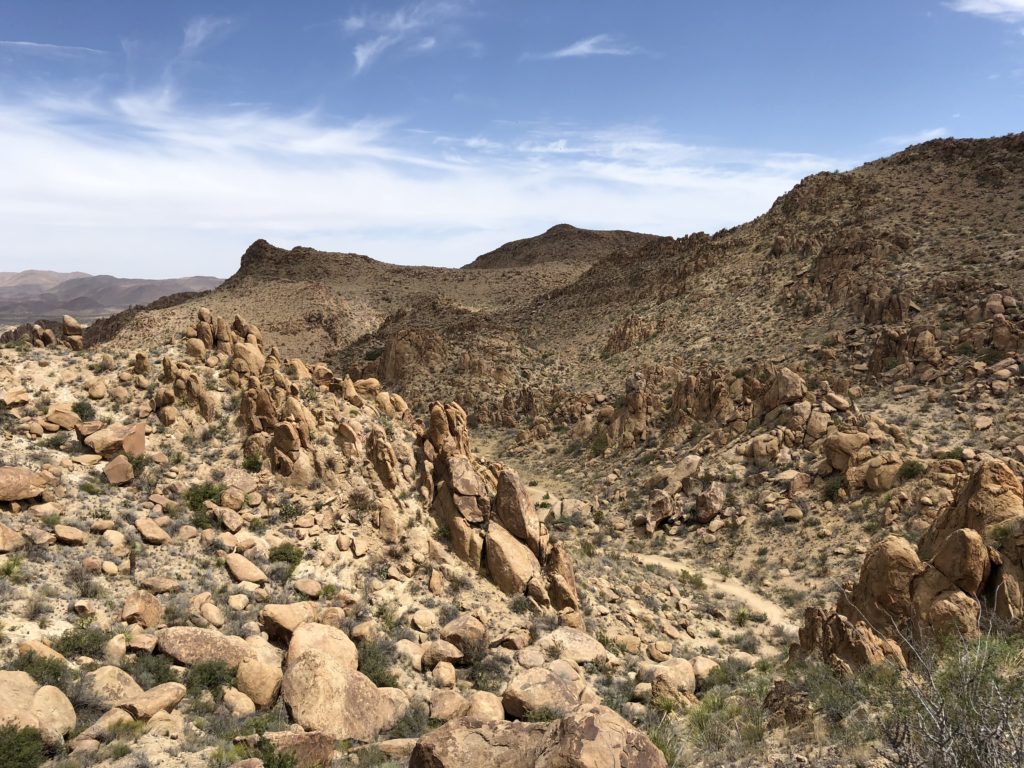 Gorgeous landscapes in Big Bend National Park