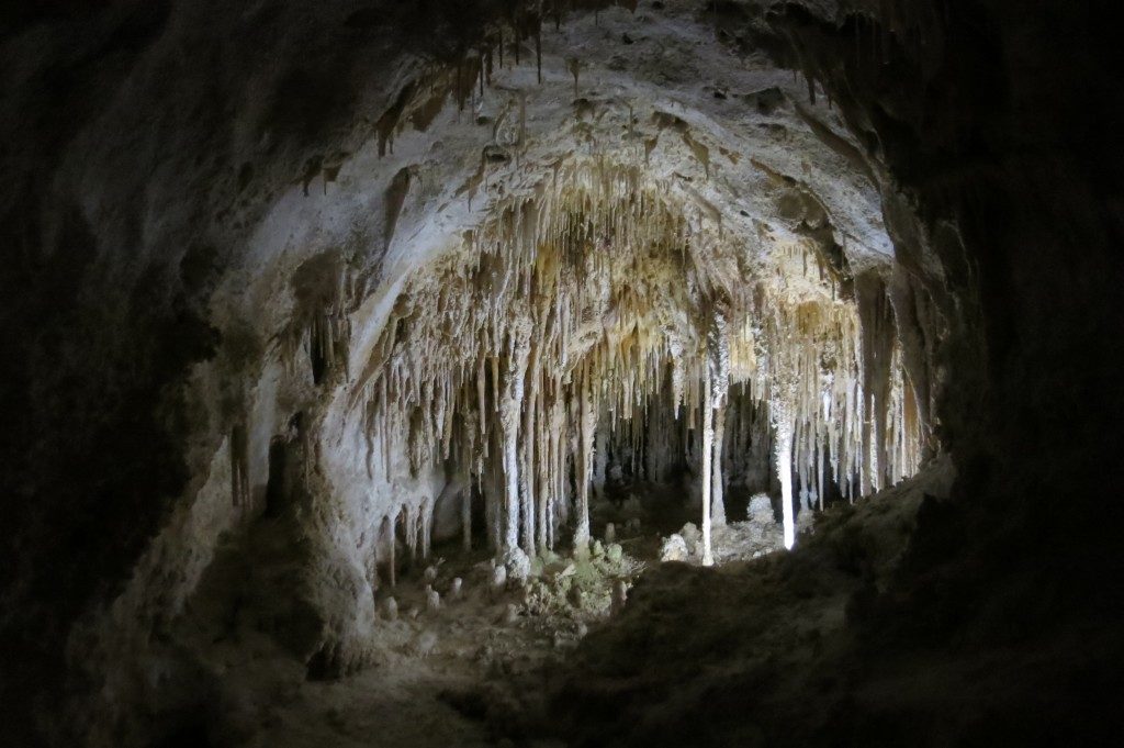 Inside Carlsbad Caverns National Park