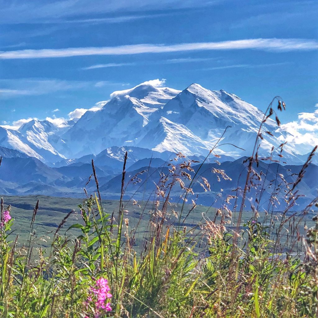 Mount Denali is North America's tallest mountain inside Denali National Park