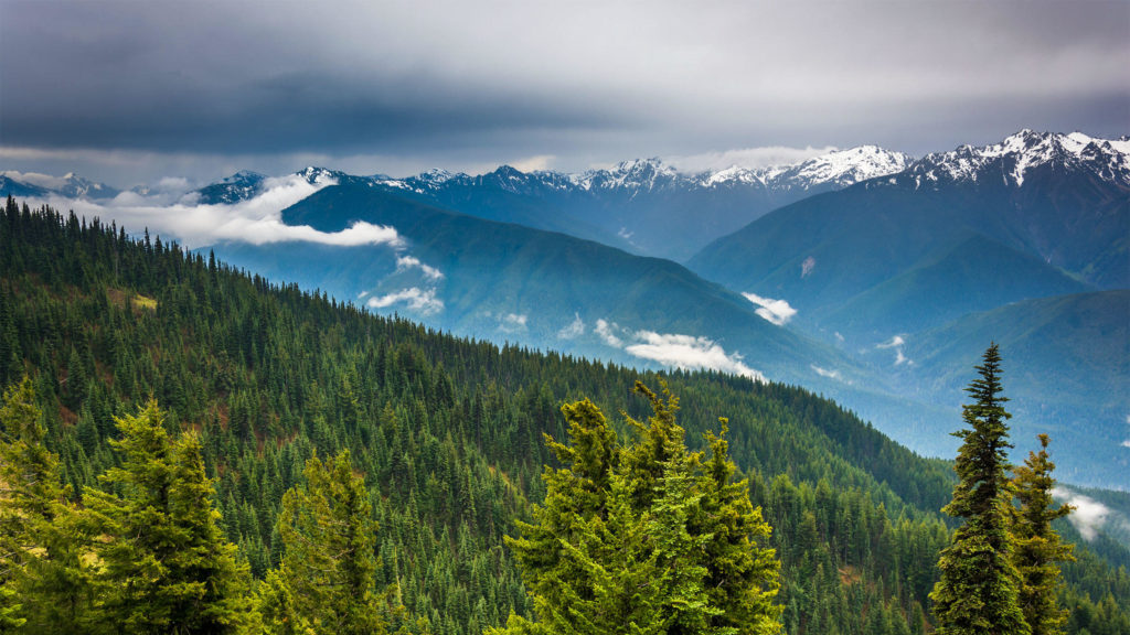 The beauty of Olympic National Park