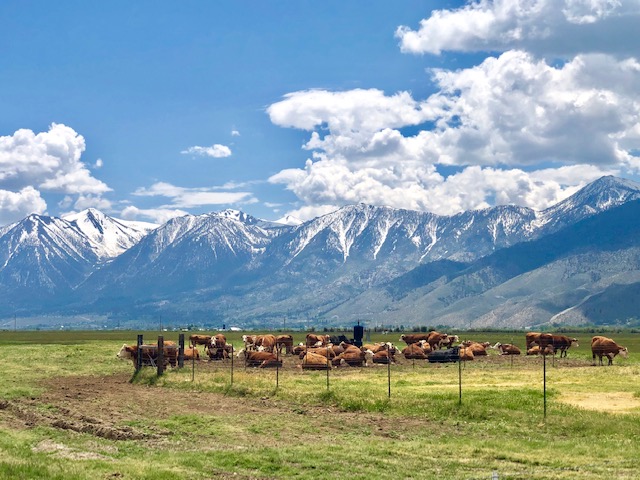 Carson Valley