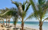 2020 Spring Break Travel Soars Stateside and Beyond