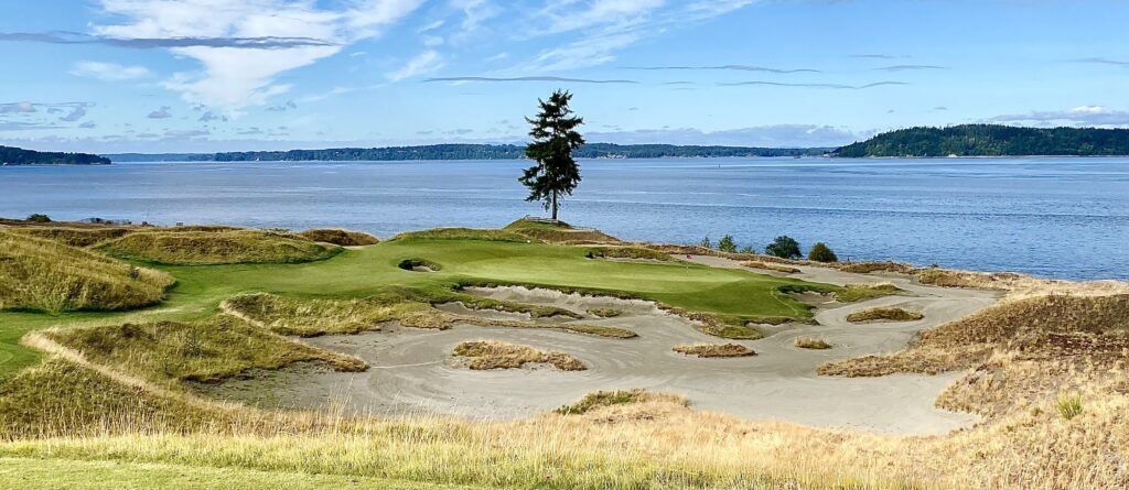 The Lone Fir at Chambers Bay